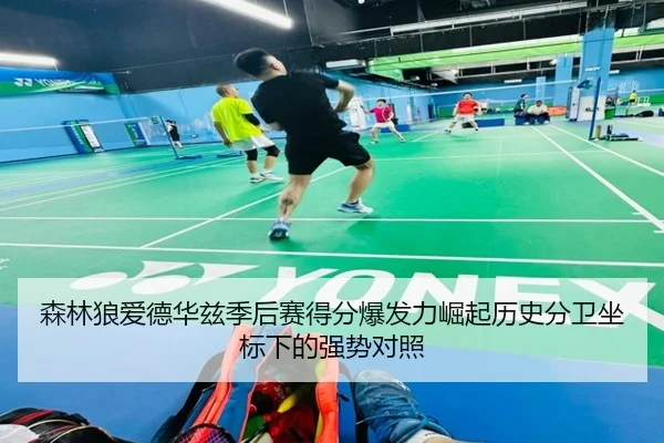 森林狼爱德华兹季后赛得分爆发力崛起历史分卫坐标下的强势对照